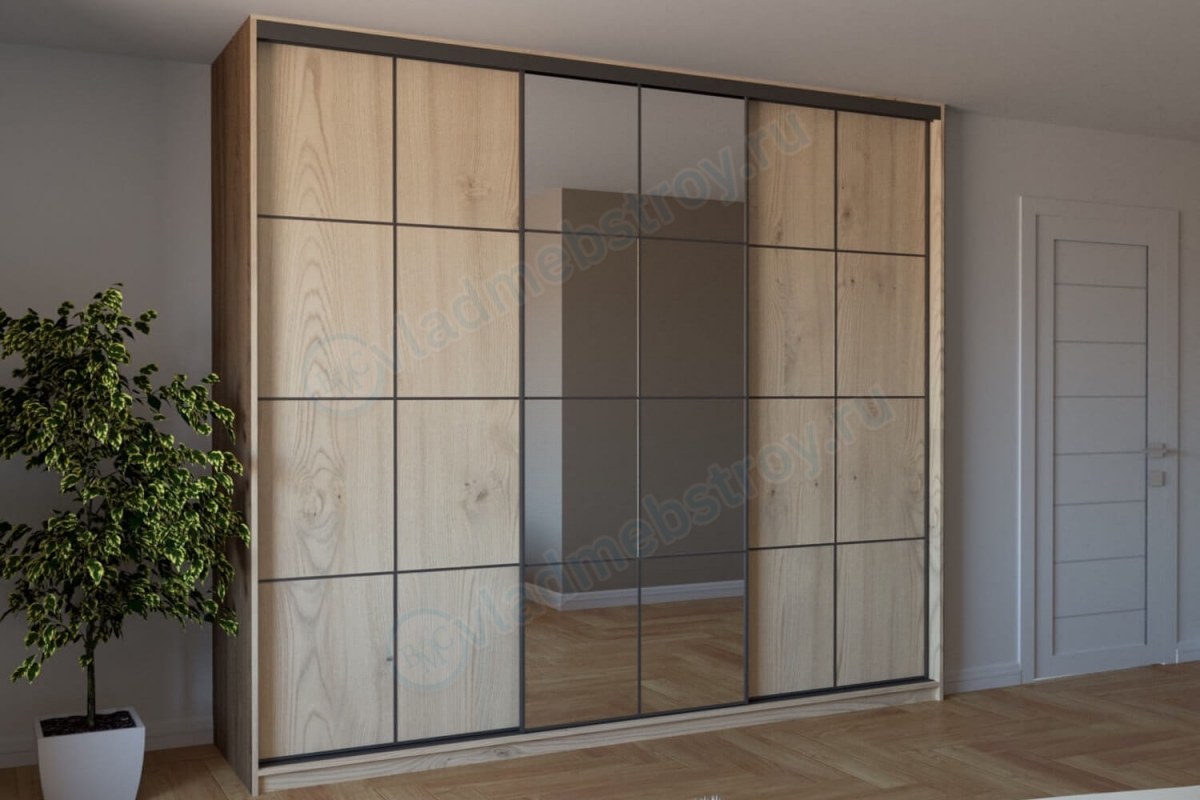 Шкаф-купе Ирден с зеркальной дверцей