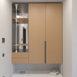 Стильный и современный шкаф в прихожую Сукуна